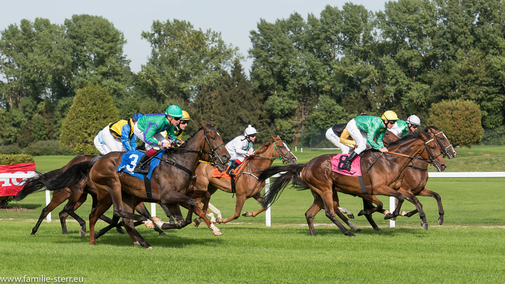 Galopprennen  München September 2015