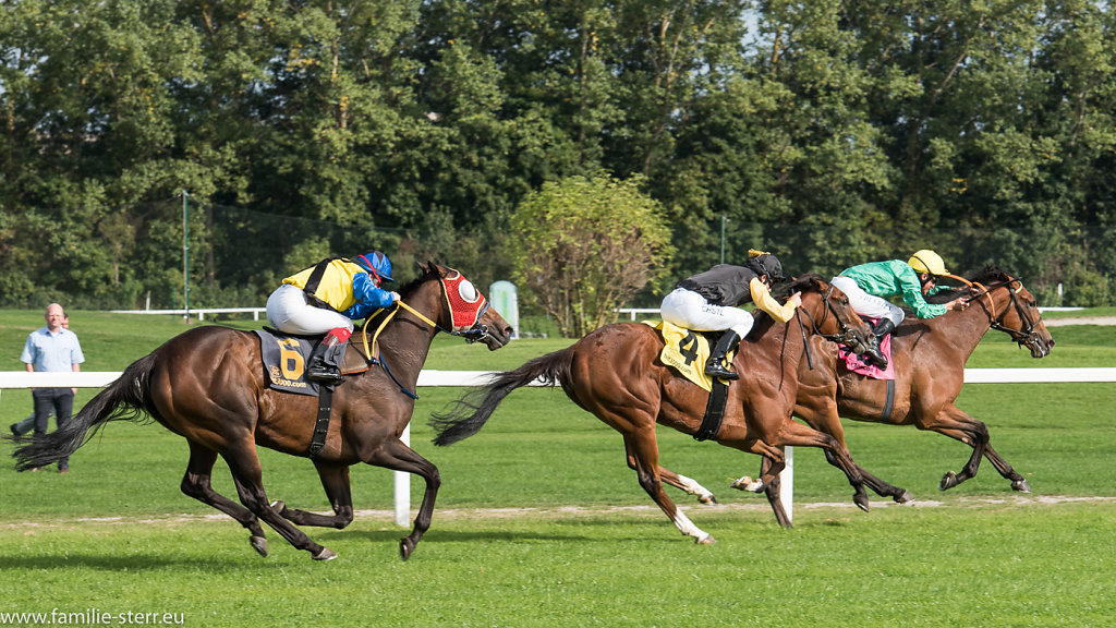 Galopprennen  München September 2015