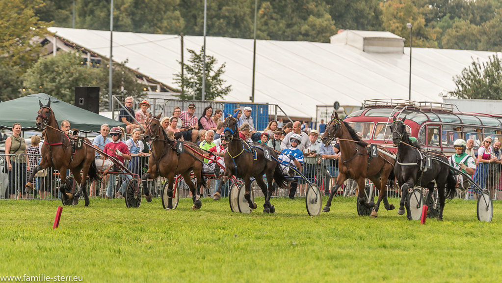 Trabrennen Erding September 2017