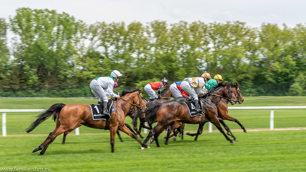 Galopprennen München Riem Mai 2018