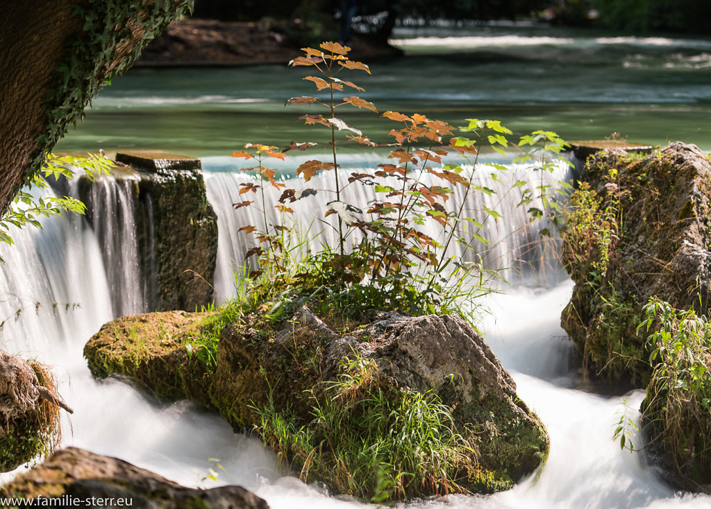 Englischer Garten München