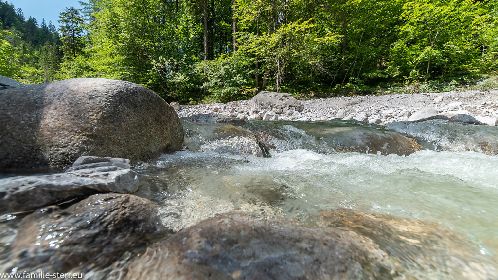 Voderkaser