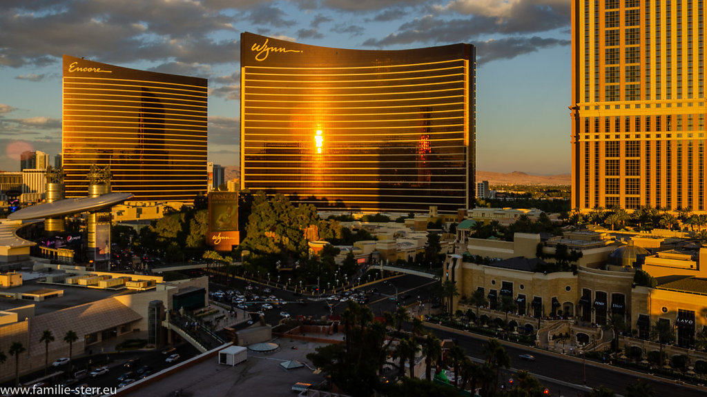 Wynn