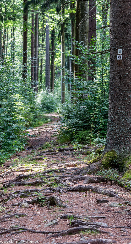 Trinkwassertalsperre Frauenau