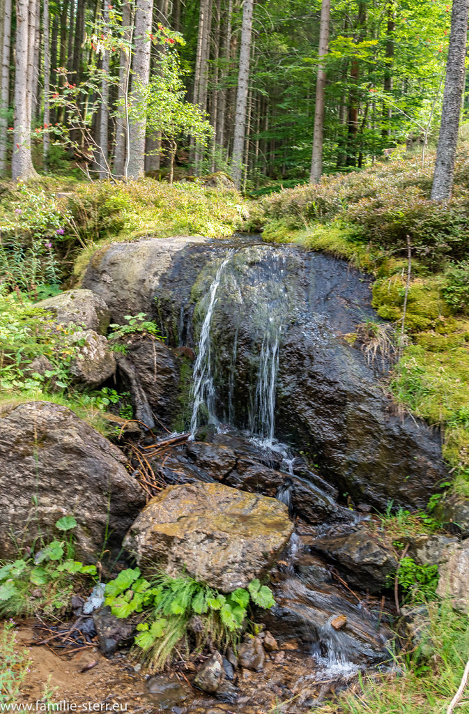 Trinkwassertalsperre Frauenau