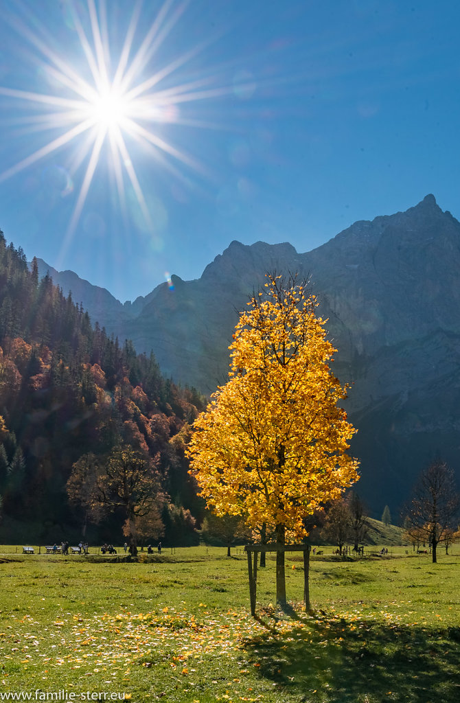 Herbst im Großen Ahornboden