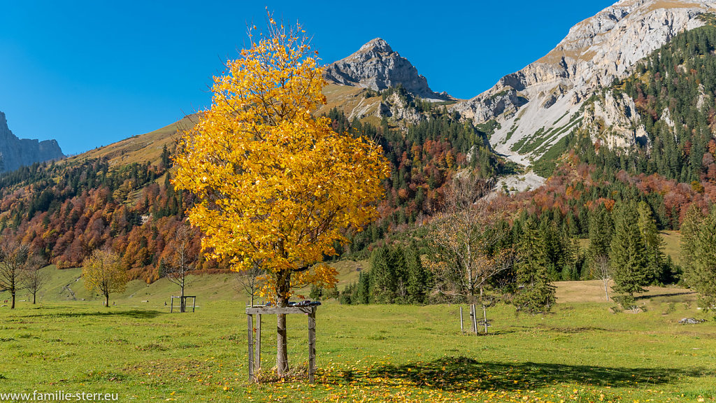 Herbst im Großen Ahornboden