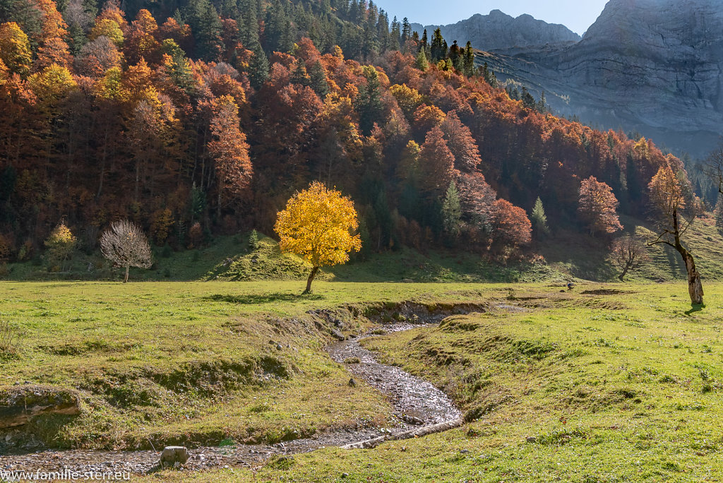 Herbst im Großen Ahornboden