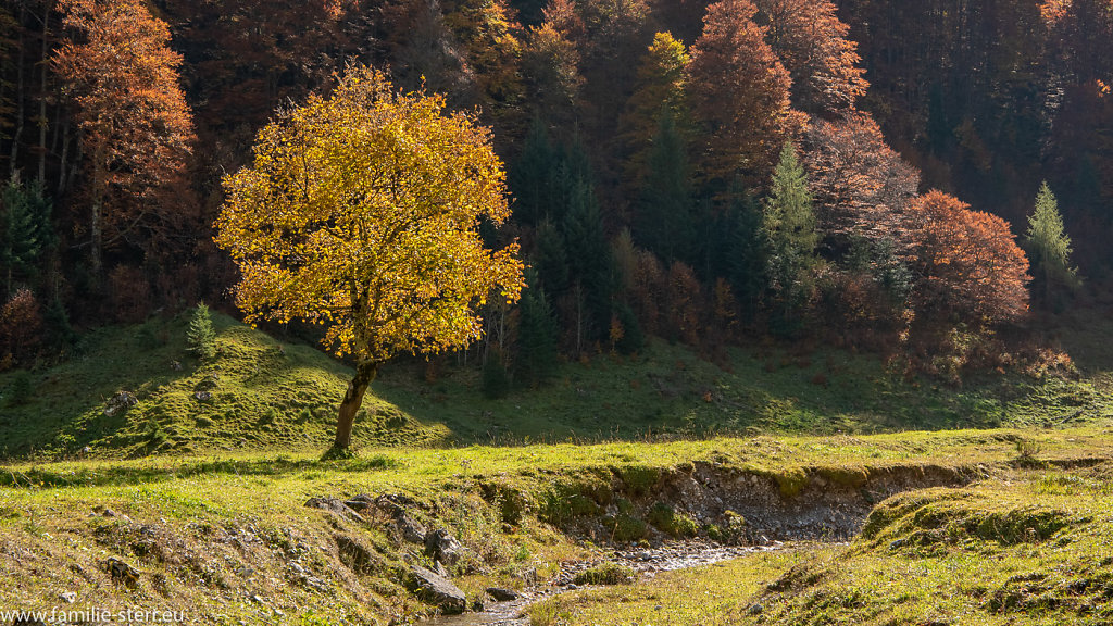 Herbst im Großen Ahornboden