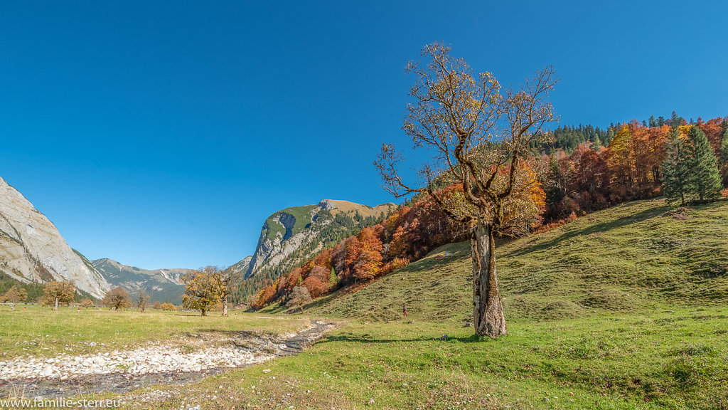 Herbst im Großen Ahornboden