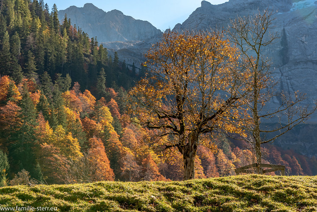 Herbst im Großen Ahornboden