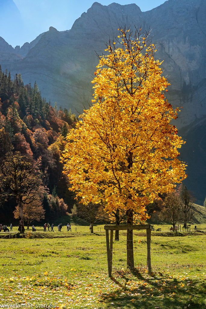 Herbst im Großen Ahornboden