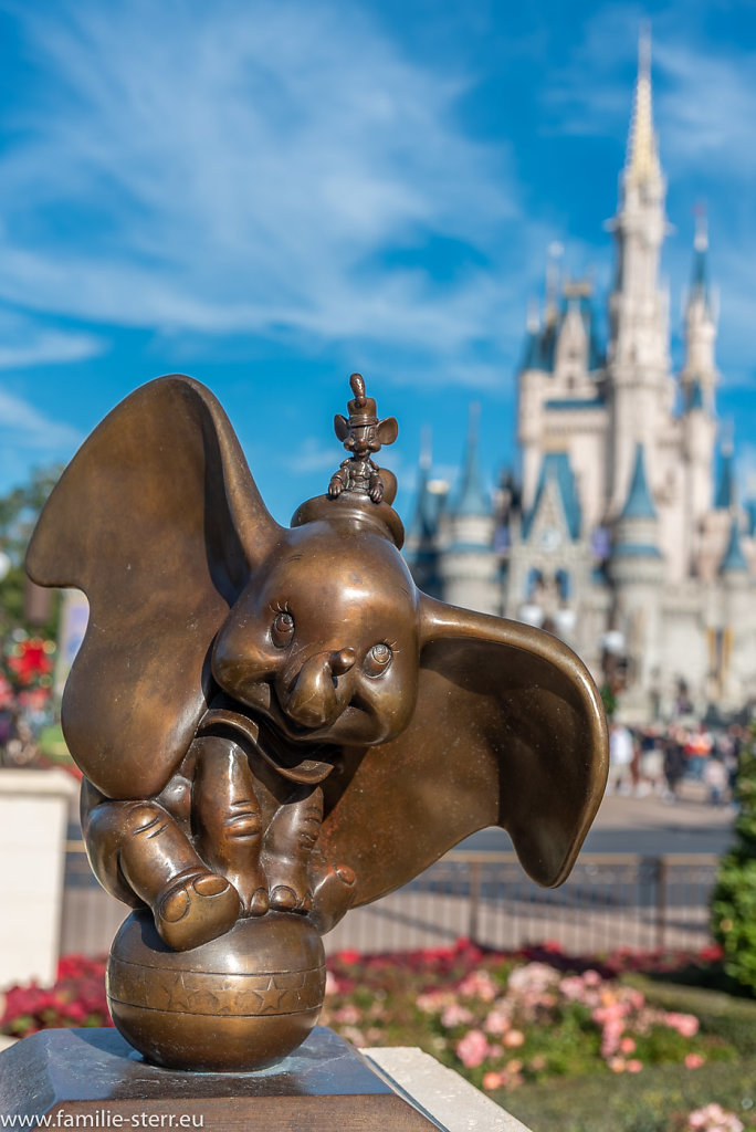 Magic-Kingdom-2018-12-24-135-HDR.jpg