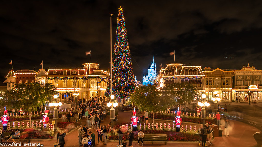 Magic-Kingdom-2018-12-26-300-HDR.jpg