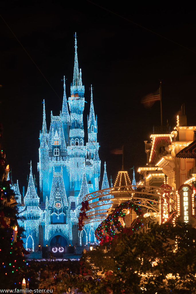 Magic-Kingdom-2018-12-26-310-HDR.jpg