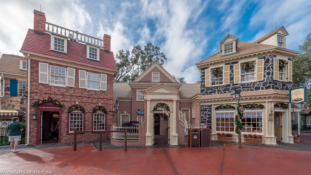 Magic-Kingdom-Epcot-2018-12-28-66-HDR.jpg