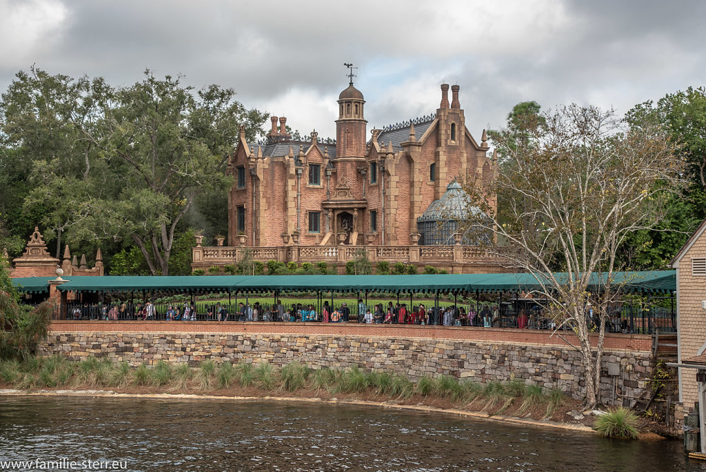 Magic-Kingdom-Epcot-2018-12-28-91-HDR.jpg