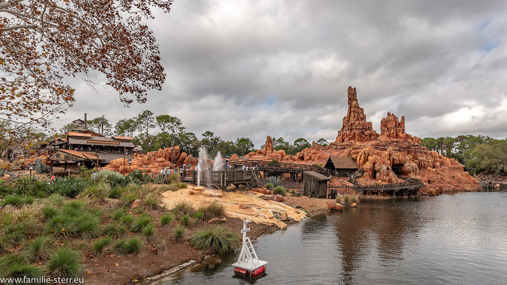 Magic-Kingdom-Epcot-2018-12-28-156-HDR.jpg