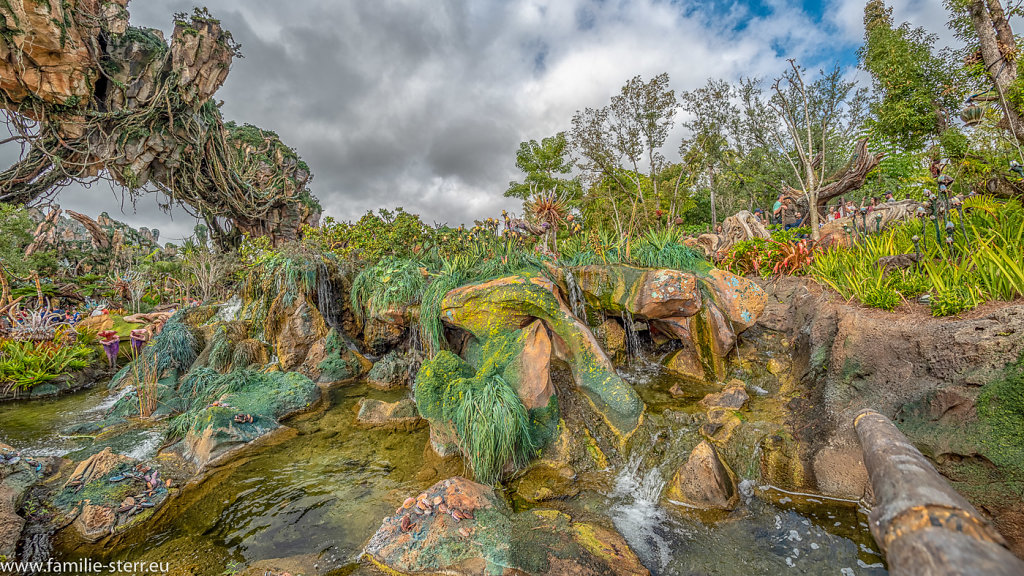 Animal-Kingdom-Epcot-2018-12-29-6-HDR-Bearbeitet.jpg