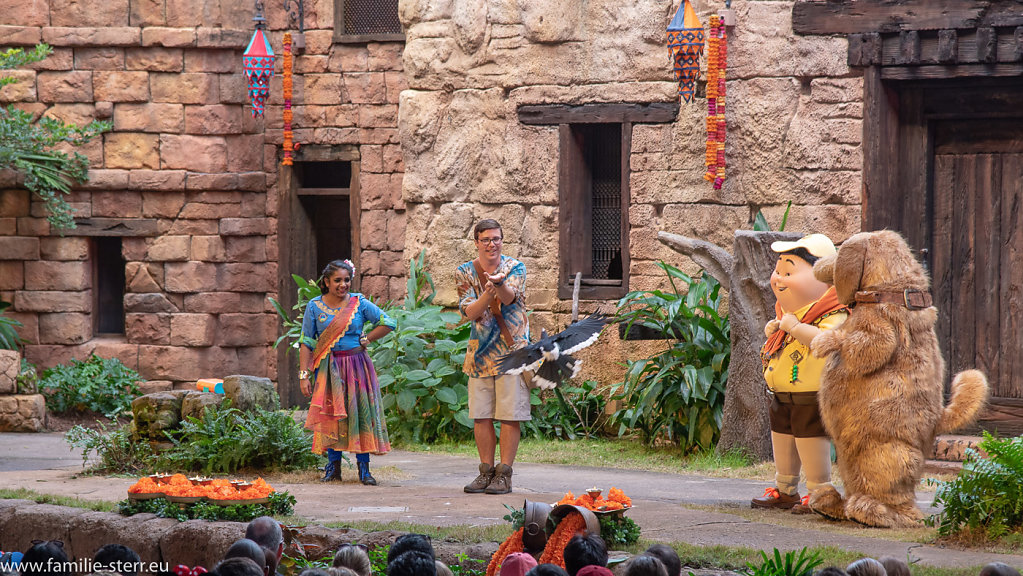 Animal-Kingdom-Epcot-2018-12-29-170.jpg