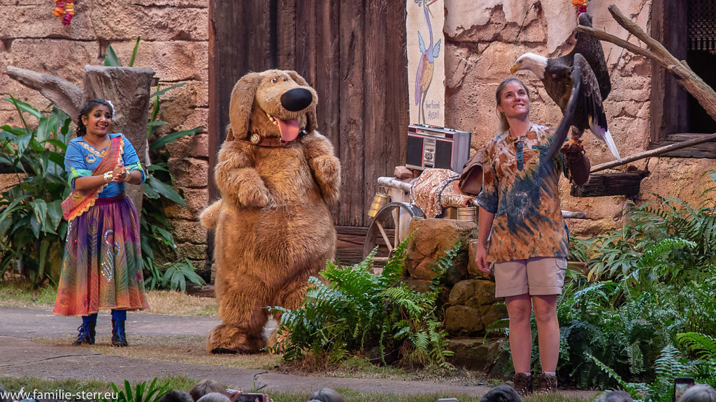 Animal-Kingdom-Epcot-2018-12-29-183.jpg