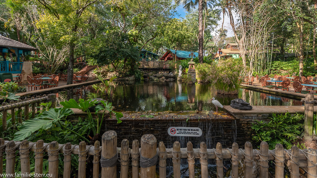 Animal-Kingdom-2019-01-04-1-HDR.jpg