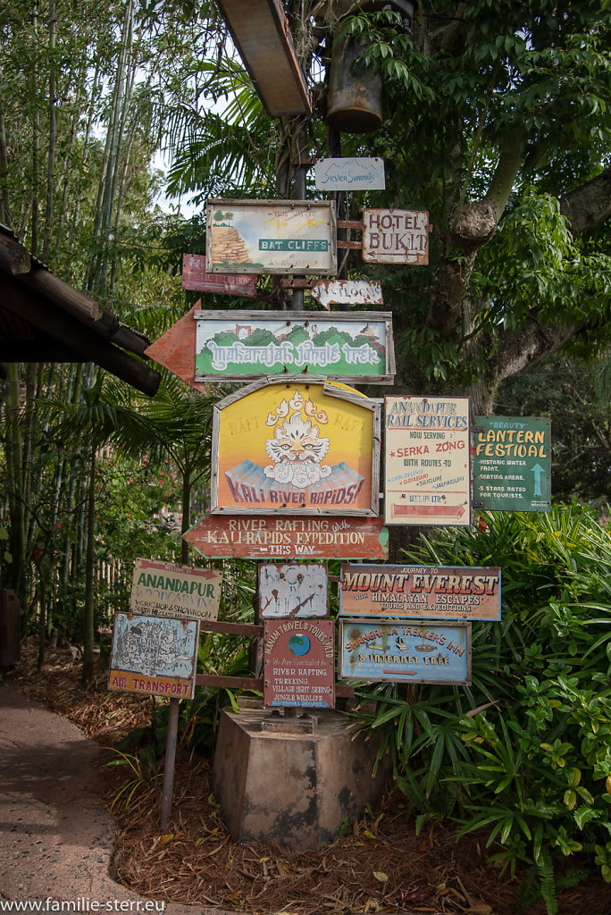 Animal-Kingdom-2019-01-04-207-HDR.jpg