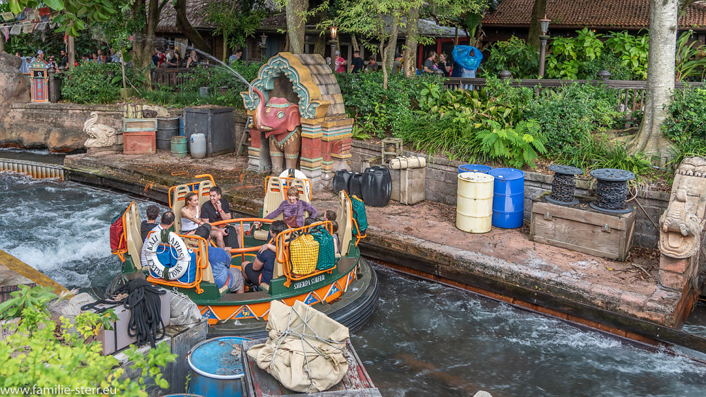 Animal-Kingdom-2019-01-04-279-HDR.jpg