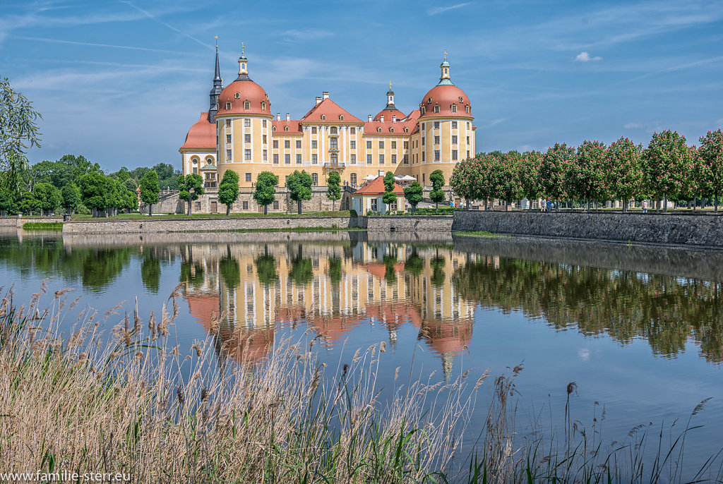 Schloss Moritzburg