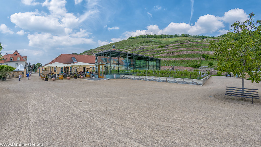Schloss Wackerbarth
