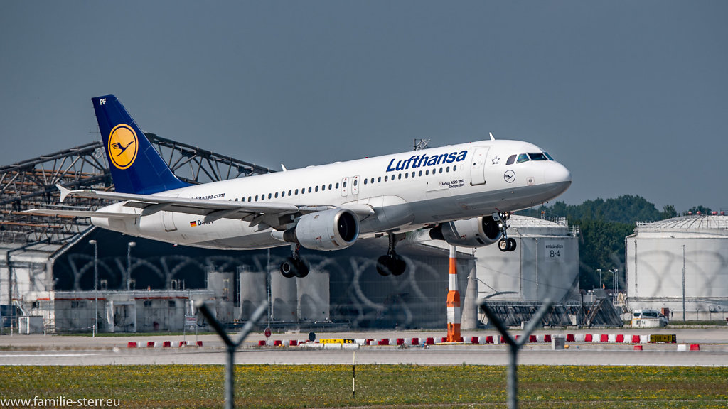 D-AIPF