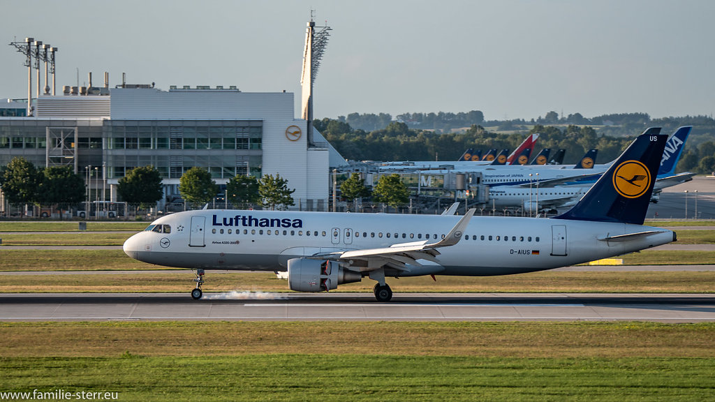 D-AIUS