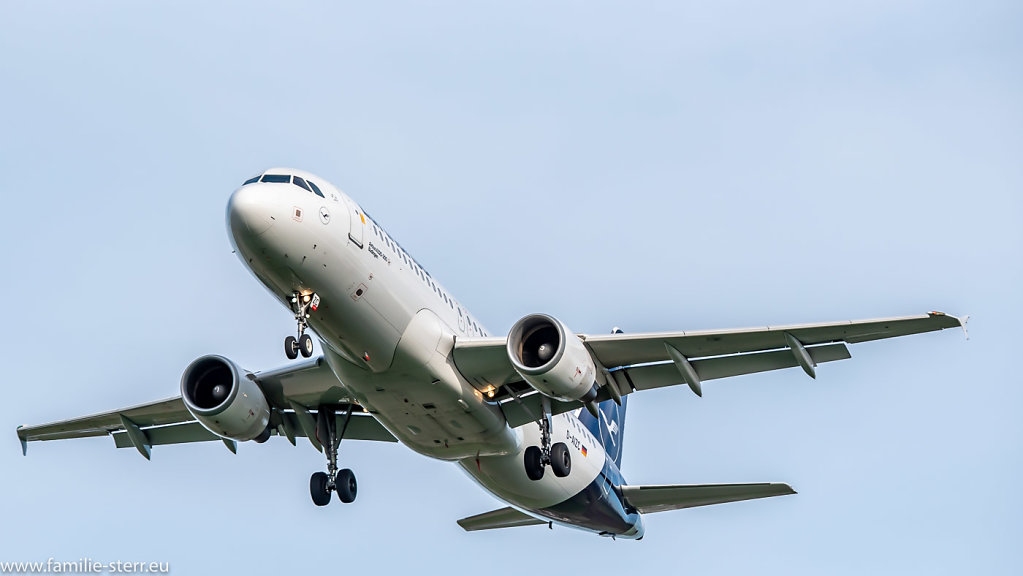 D-AIZC