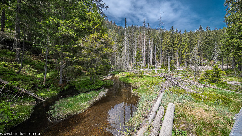 Grosser Arbersee