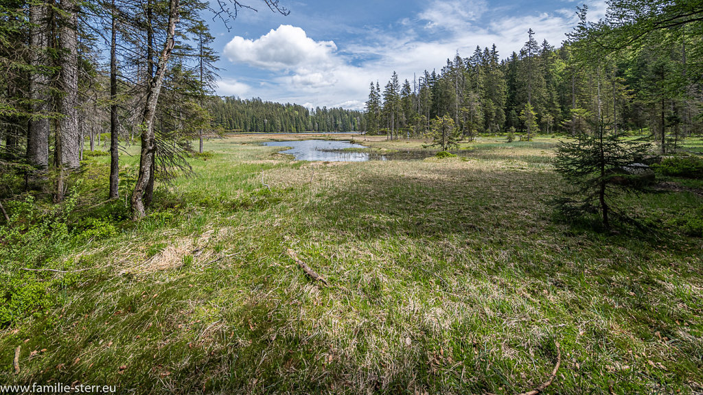 Grosser Arbersee