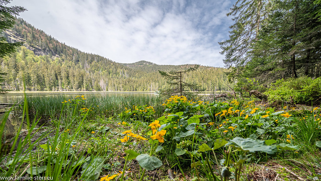 Grosser Arbersee