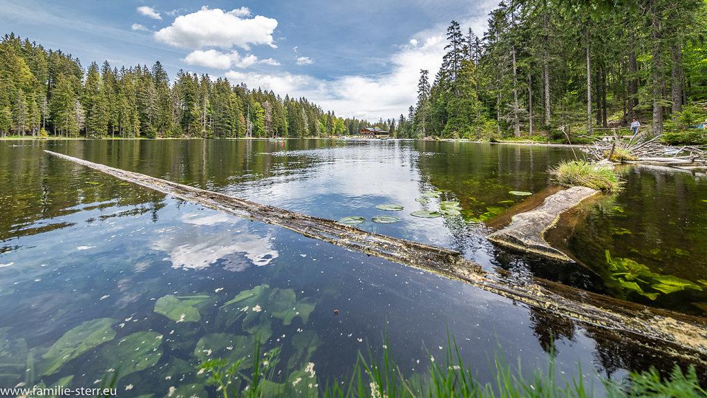 Grosser Arbersee