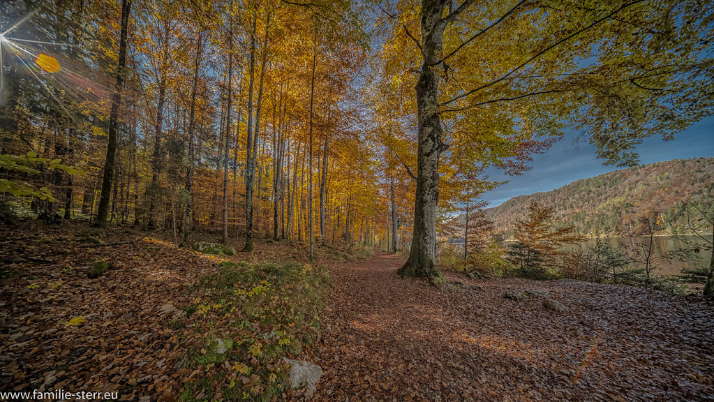 Alpsee im Herbst